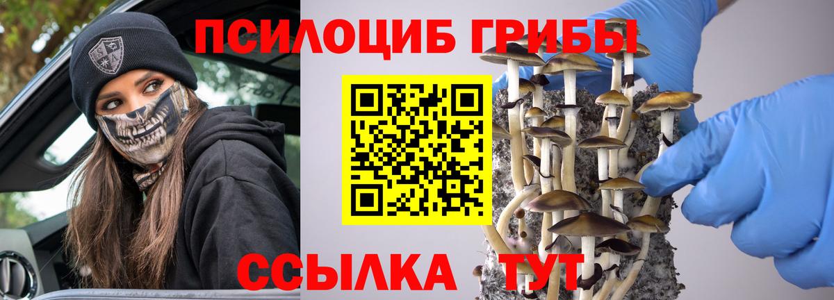 Псилоцибиновые грибы мицелий  наркошоп  Зима  Вход с VPN 