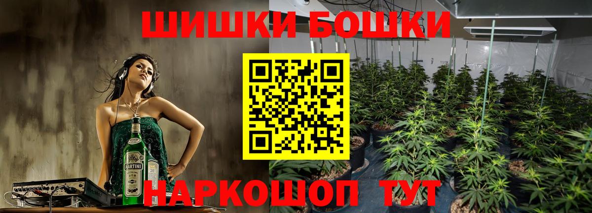 Конопля гибрид Зима